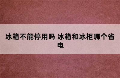 冰箱不能停用吗 冰箱和冰柜哪个省电